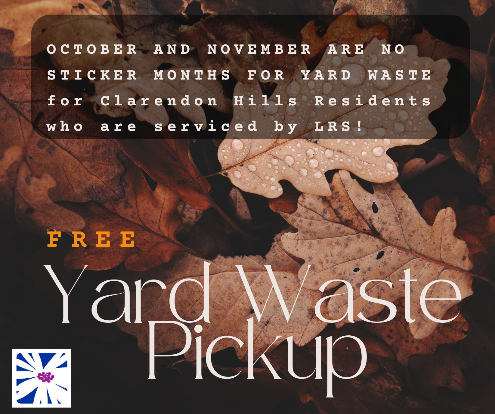 LRS No Stickers Fall